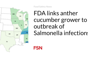 FDA menghubungkan petani mentimun dengan wabah infeksi Salmonella