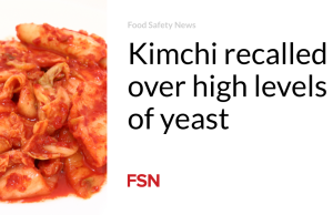 Kimchi teringat akan ragi tingkat tinggi