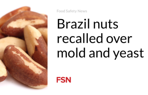 Kacang Brazil ditarik kembali karena jamur dan ragi