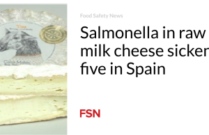 Salmonella dalam keju susu mentah membuat sakit lima orang di Spanyol