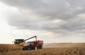Panas ekstrem menghancurkan tanaman jagung di seluruh dunia. Eksportir AS mungkin akan merasakan peningkatan.