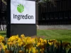 Ingredion mengalami penurunan pendapatan, terus fokus pada tekstur