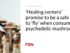 ‘Pusat penyembuhan’ menjanjikan cara yang aman untuk ‘terbang’ saat mengonsumsi jamur psikedelik