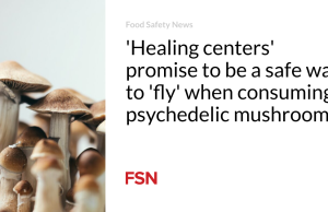 ‘Pusat penyembuhan’ menjanjikan cara yang aman untuk ‘terbang’ saat mengonsumsi jamur psikedelik