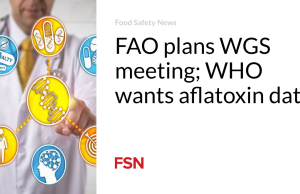 FAO merencanakan pertemuan WGS; WHO menginginkan data aflatoksin