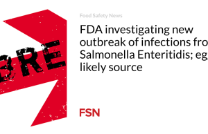 FDA menyelidiki wabah baru infeksi Salmonella Enteritidis; telur kemungkinan besar menjadi sumbernya