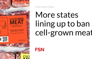 Semakin banyak negara bagian yang antre untuk melarang daging yang ditanam dalam sel