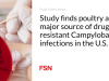 Studi menemukan unggas sebagai sumber utama infeksi Campylobacter yang resistan terhadap obat di AS