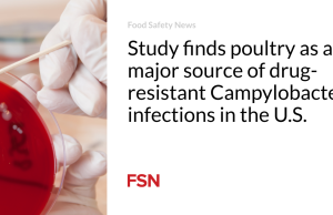 Studi menemukan unggas sebagai sumber utama infeksi Campylobacter yang resistan terhadap obat di AS