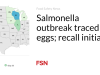 Wabah Salmonella ditelusuri hingga ke telur; penarikan kembali dimulai