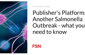 Platform Penerbit: Wabah Salmonella Lainnya – apa yang perlu Anda ketahui