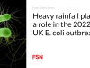 Curah hujan yang tinggi berperan dalam wabah E. coli di Inggris pada tahun 2022