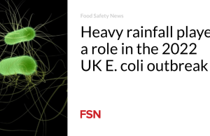 Curah hujan yang tinggi berperan dalam wabah E. coli di Inggris pada tahun 2022