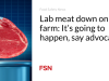 Uji coba daging di peternakan: Ini akan terjadi, kata para advokat