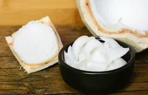 Bahan dalam Fokus: Daging kelapa