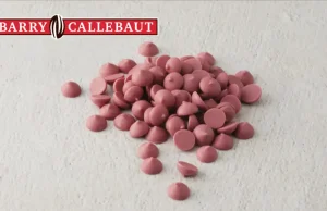 Barry Callebaut menunjuk presiden baru untuk operasinya di Amerika Utara
