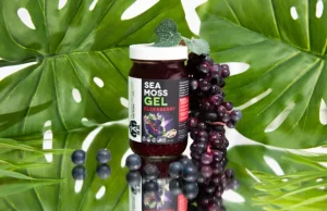 Bahan-bahan dalam Fokus: Apakah lumut laut adalah makanan super berikutnya?