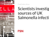Para ilmuwan menyelidiki sumber infeksi Salmonella Inggris