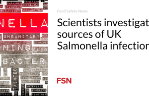 Para ilmuwan menyelidiki sumber infeksi Salmonella Inggris