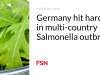 Jerman adalah negara yang paling terkena dampak wabah Salmonella di banyak negara