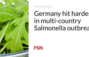 Jerman adalah negara yang paling terkena dampak wabah Salmonella di banyak negara