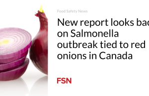 Laporan baru meninjau kembali wabah Salmonella yang terkait dengan bawang merah di Kanada