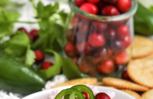 Cranberry Jalapeno Dip – Habiskan Dengan Uang