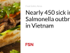 Hampir 450 orang sakit akibat wabah Salmonella di Vietnam