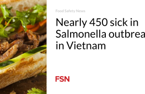 Hampir 450 orang sakit akibat wabah Salmonella di Vietnam