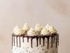 Chocolate Chip Cake with Ganache Drip