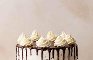 Chocolate Chip Cake with Ganache Drip